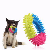 Dog Ring Teether Toy Small - Random Colors